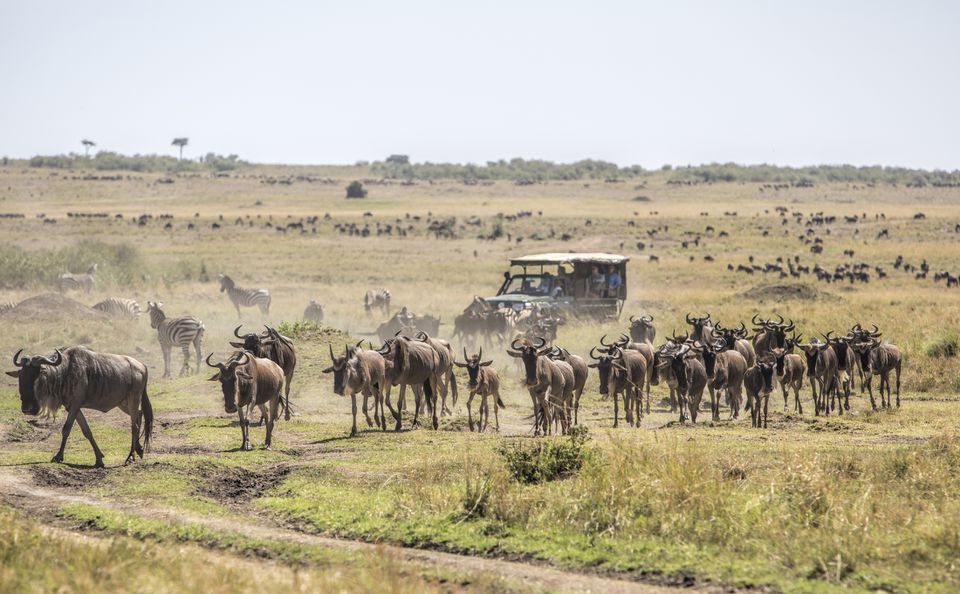 Masai-Mara-National-Reserve-We