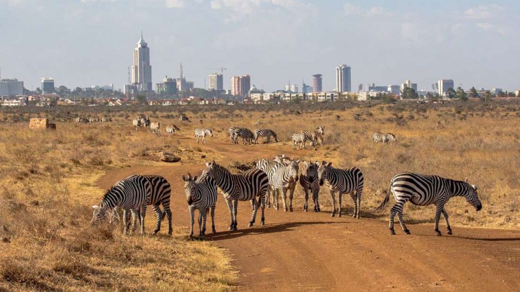 Nairobi-NAtional-Park
