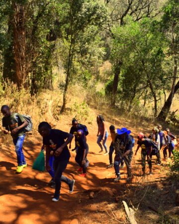 Hiking