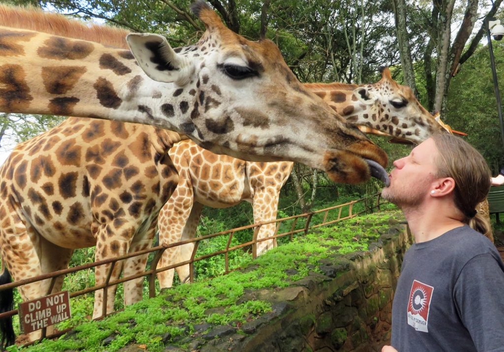 giraffe-kiss-nairobi