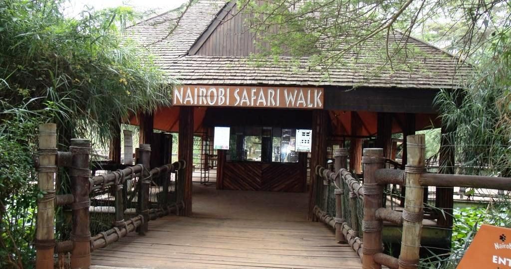 nairobi safari walk getaways tour and animal orphanage