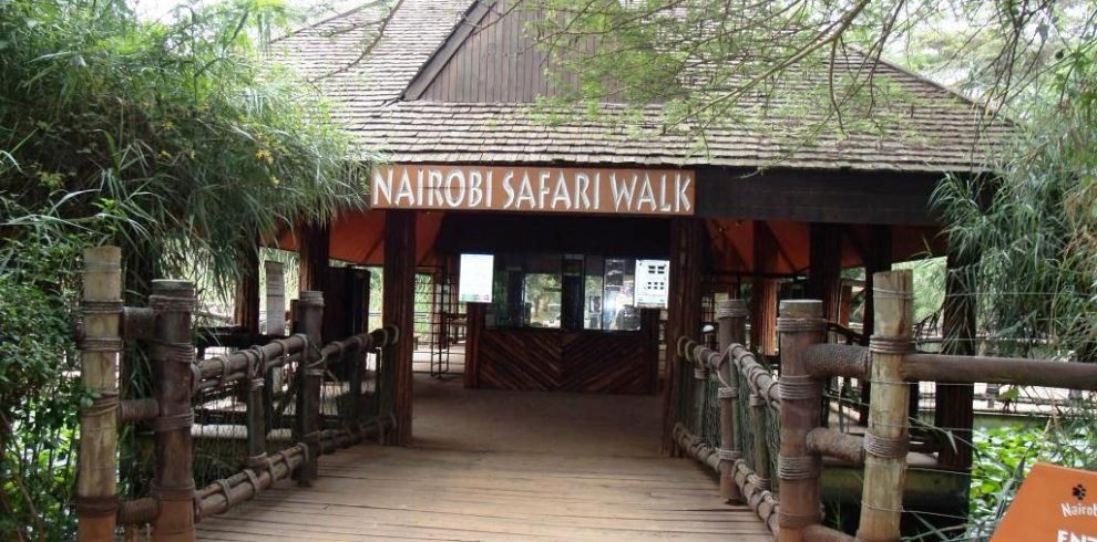nairobi safari walk and animal