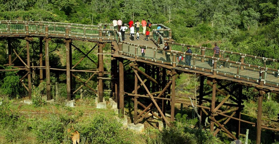 Nairobi-safari-walks