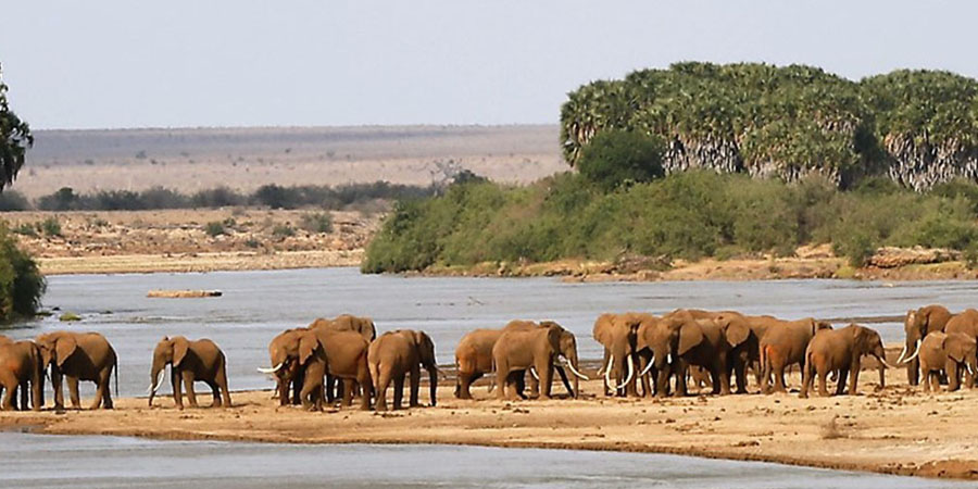 Tsavo-West-National-Park_4