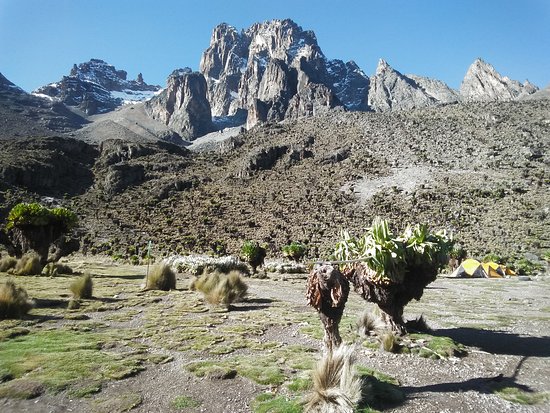 Mount kenya national park