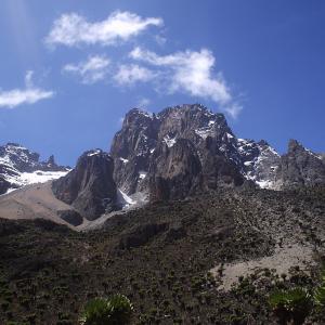 Mount kenya national park