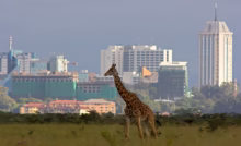 electronic visa Kenya nairobi city tour