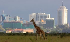 electronic visa Kenya nairobi city tour