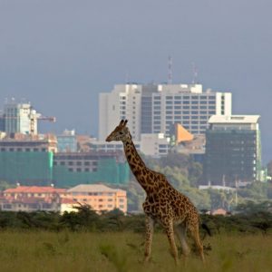electronic visa Kenya nairobi city tour