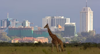 A Guide to Planning Your Nairobi National Park Visit