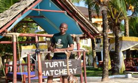 Tour operators in kenya