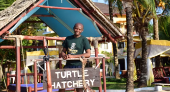 Ethical Safaris in Kenya: A Journey Towards Sustainable Travel