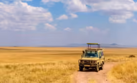 game drive tourism in kenya
