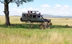 nairobi national park game drive charges