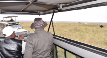 Why a Luxury Safari in Tanzania Should Be Your Next Adventure