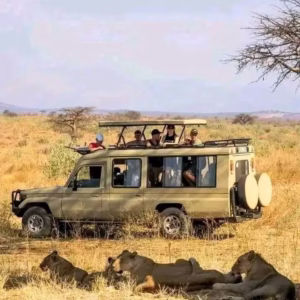 3 days masai mara budget safari